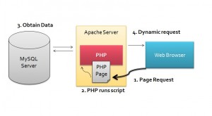 how mysql database works